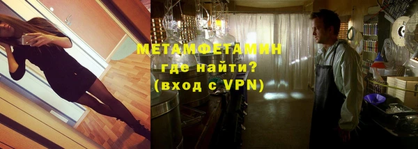 шишки Ельня