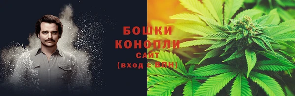 шишки Ельня