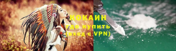 молекула духа Елизово