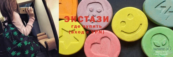шишки Ельня
