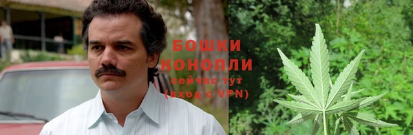 молекула духа Елизово