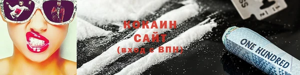 мдпв Елабуга