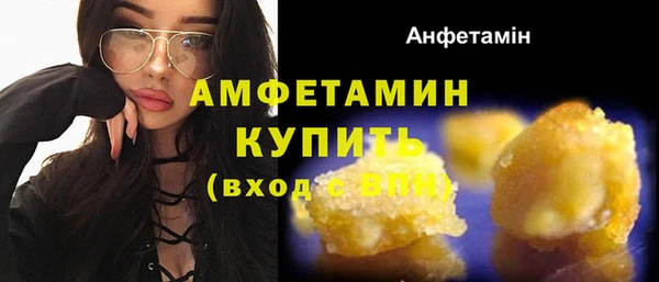 молекула духа Елизово