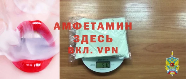шишки Ельня
