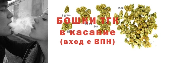 мдпв Елабуга
