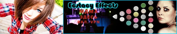 шишки Ельня
