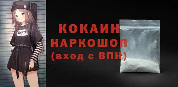 мдпв Елабуга