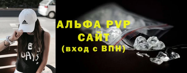 шишки Ельня