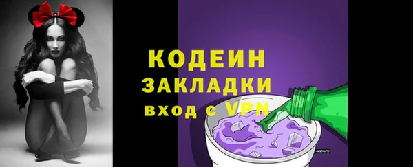 мдпв Елабуга