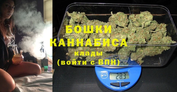 шишки Ельня