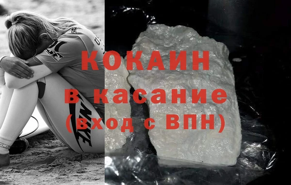 шишки Ельня