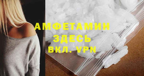 мдпв Елабуга