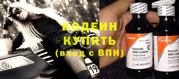 шишки Ельня