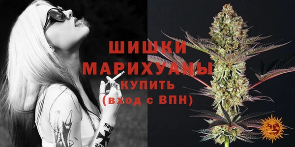 молекула духа Елизово