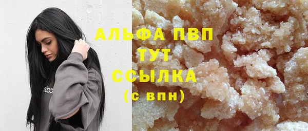 молекула духа Елизово
