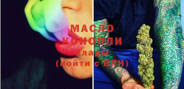 мдпв Елабуга