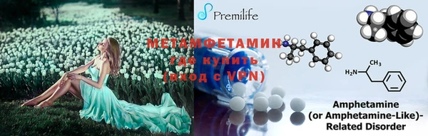 шишки Ельня