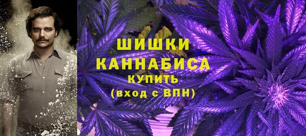 молекула духа Елизово