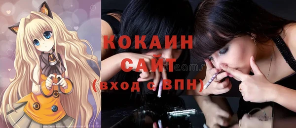 молекула духа Елизово