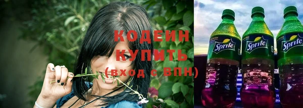 шишки Ельня