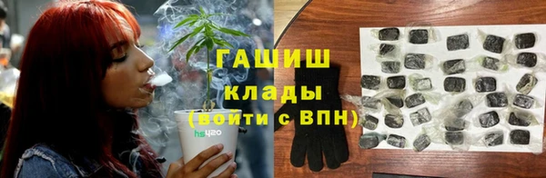 шишки Ельня