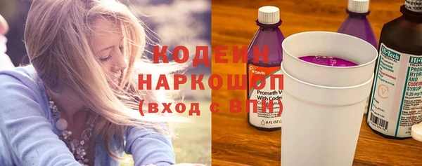 шишки Ельня