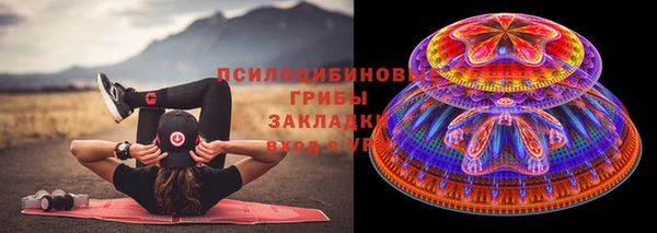 молекула духа Елизово