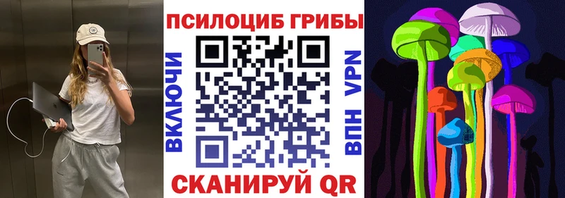 Купить закладки  Боровск  Галлюциногенные грибы Psilocybe 