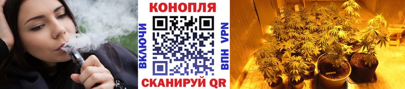 Марихуана ГИДРОПОН  Купить где  Боровск 